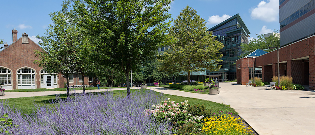 CCOM campus summer of 2024